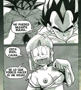 Comics XXX - El Mejor Saiyan (Vegeta y Goku Follan a Bulma) - 6